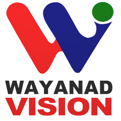 wayyand plus