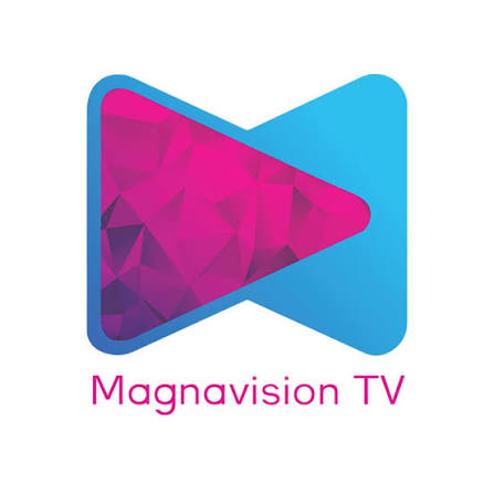magna vision