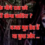Do Ghosts Live on Peepal Trees Why You Should Not Sleep Under a Peepal Tree at Night